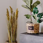 Apartamento La88 Bayview Iii